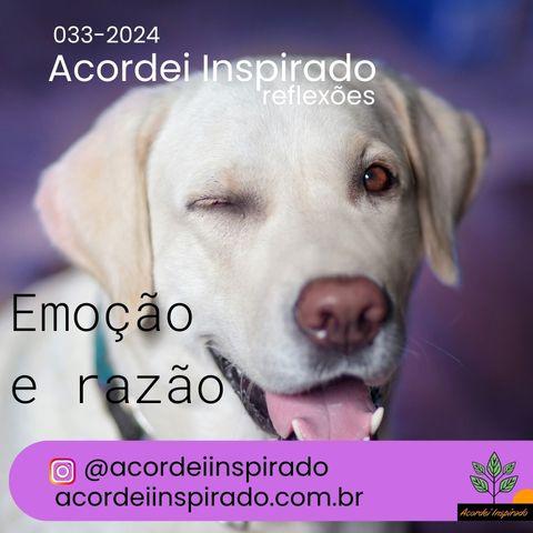 Acordei Inspirado - 033/2024 - Emoção e Razão