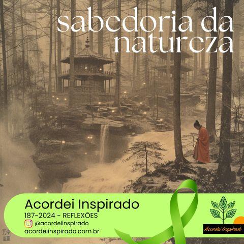 Acordei Inspirado 187/2024
