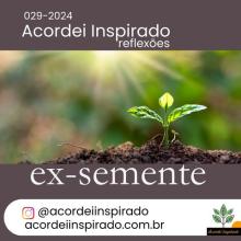 Acordei Inspirado 029/2024 - ex-semente