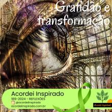 Acordei Inspirado 189/2024 - Gratidão e transformação