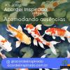 Acordei Inspirado 308/2023 - Acomodando ausências