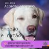 Acordei Inspirado - 033/2024 - Emoção e Razão