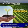 Acordei Inspirado 073/2024 - Plantando esperança