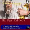 Acordei Inspirado 077/2024 - Há paz em nós
