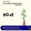Acordei Inspirado 087/2024 - Hoje