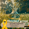 Acordei Inspirado 248/2024 - Observar o gotejar