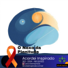 Acordei Inspirado - 362/2024 - O Nexo da Plenitude
